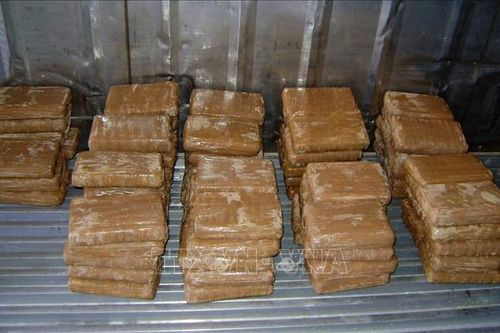 Mỹ thu giữ lượng ma túy đá kỷ lục