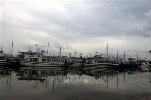 Quảng Ninh chuyển sang hình thái phòng, chống lụt bão