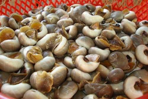 5 mẹo làm sạch cực hay với nước vo gạo