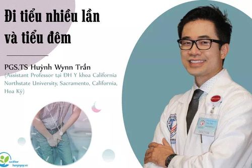 Những lý do có thể dẫn đến đi tiểu nhiều lần và tiểu đêm