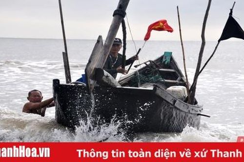 Ngư dân Sầm Sơn tranh thủ ra khơi đón 'lộc trời'
