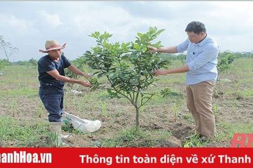Giải pháp nâng cao hiệu quả sản xuất nông nghiệp ở huyện Thường Xuân