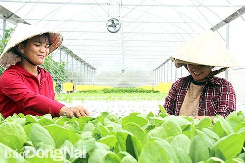 Tạo động lực phát triển hệ sinh thái khởi nghiệp