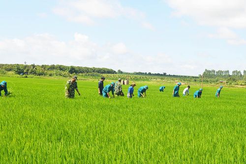 Tiếp tục đổi mới nội dung và phương pháp dân vận