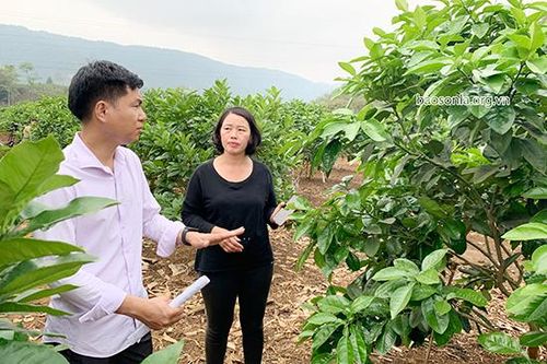 Dân vận khéo - 'chìa khóa' xây dựng khối đại đoàn kết toàn dân tộc
