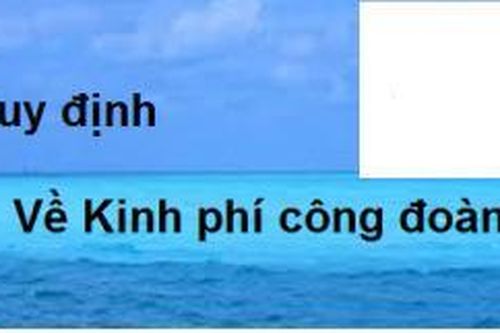8 hiệp hội doanh nghiệp kiến nghị giảm kinh phí công đoàn xuống còn tối đa 1% quỹ tiền lương