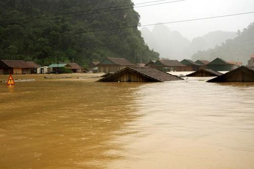 Thương về miền Trung