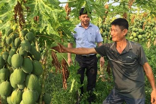 Khi nông dân sản xuất công nghệ cao
