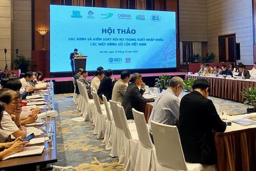 Nhận diện gian lận thương mại trong ngành gỗ