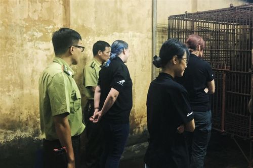 Cứu hộ thành công 1 cá thể gấu ngựa tại Hà Nội