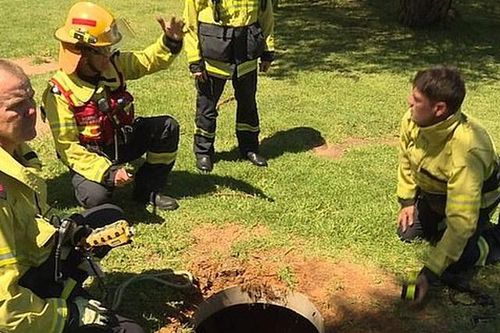 Nghe tiếng sủa dưới cống, 16 nhân viên cứu hỏa phát hiện điều lạ lùng