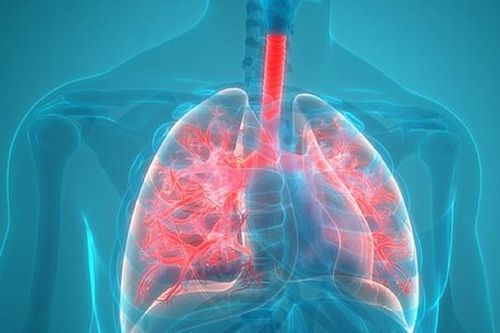 TP.HCM: Nam sinh lớp 10 tử vong do lao ruột hiếm gặp