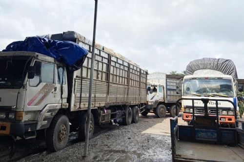 TP.HCM: Phát hiện, bắt giữ lô hàng cấm nhập khẩu đang vận chuyển đi tiêu thụ