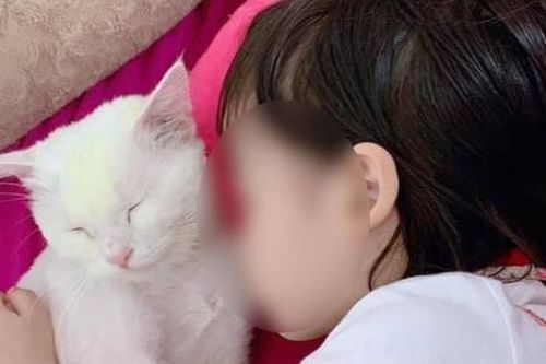 Bé gái thắt cổ tự tử vì học theo clip trên mạng