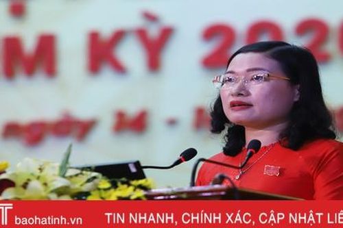 Đại hội Đại biểu Đảng bộ Hà Tĩnh lần thứ XIX tích cực thảo luận các giải pháp phát triển trong nhiệm kỳ mới