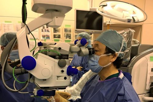 Nhật Bản cấy ghép tế bào thị giác từ tế bào gốc đa tiềm năng cảm ứng