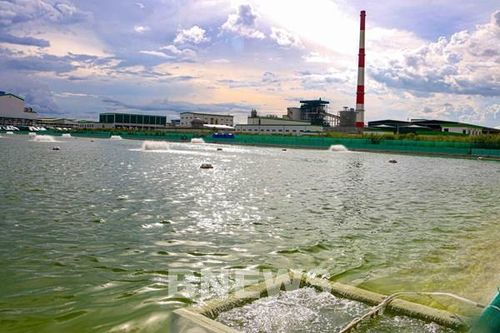 Cân nhắc khi cho phép Nhà máy giấy Lee&Man nâng công suất