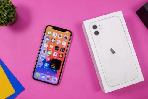 Xuất hiện video trên tay iPhone 12, cư dân mạng chê hộp mỏng và kém sang