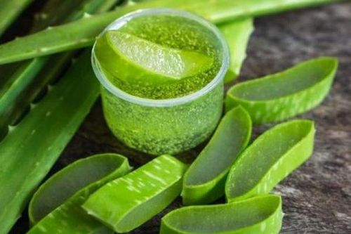 Nhiều người chỉ biết dùng nha đam làm đẹp mà không biết những đại kỵ này rất dễ rước họa