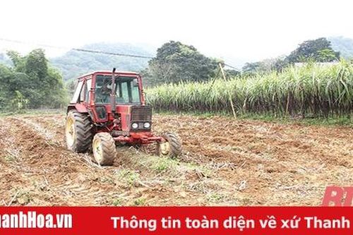 Hiệu quả từ áp dụng cơ giới hóa vào sản xuất nông nghiệp
