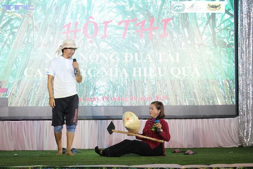Nhà nông đua tài canh tác mía hiệu quả