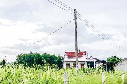 Từng bước di dời lưới điện nông thôn