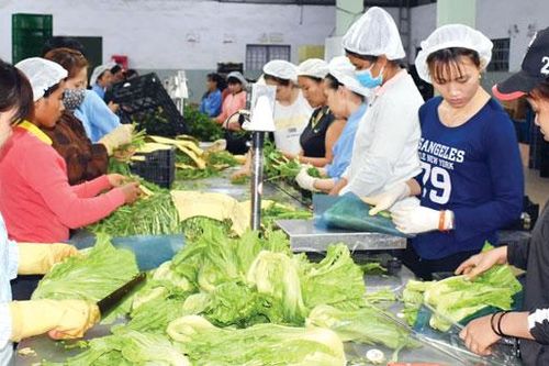 Tăng nhanh chuỗi liên kết
