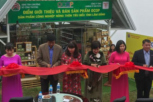 Khai trương Điểm giới thiệu và bán sản phẩm OCOP tỉnh Lâm Đồng