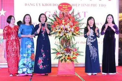 Gặp mặt cán bộ, lãnh đạo nữ Khối doanh nghiệp tỉnh