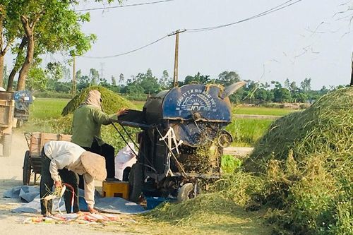 Chấm dứt tình trạng đốt rơm rạ sau thu hoạch: Hành động nhanh, quyết liệt hơn