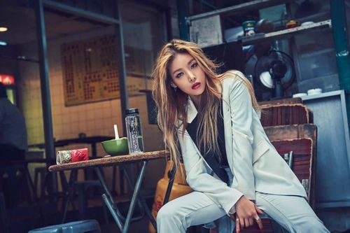 Thành viên các ban nhạc Hàn làm gì sau khi nhóm tan rã?