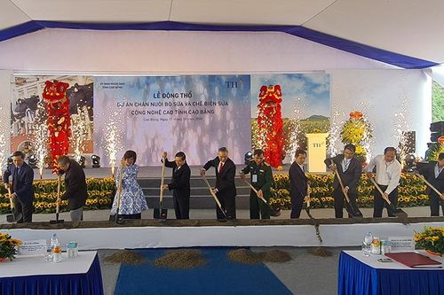 Tập đoàn TH động thổ dự án nuôi bò và chế biến sữa hơn 2.500 tỷ đồng tại Cao Bằng