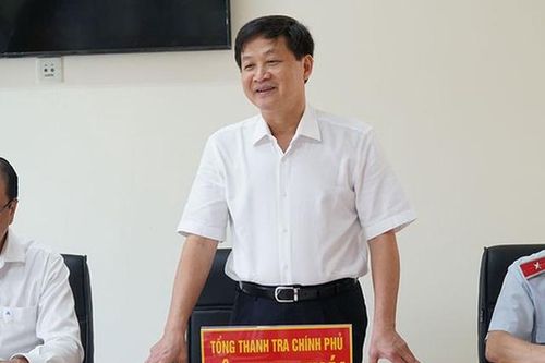 Tổng Thanh tra Chính phủ sẽ đề nghị TP. HCM chỉ đạo giải quyết dứt điểm nhiều vụ việc