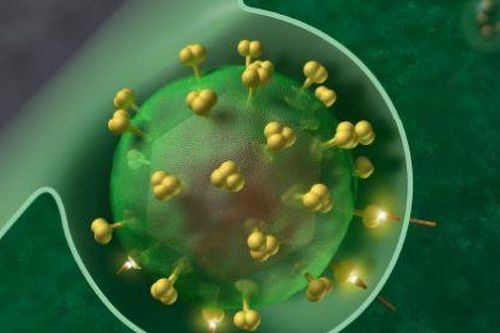 EU bật đèn xanh cho liệu pháp điều trị HIV mới