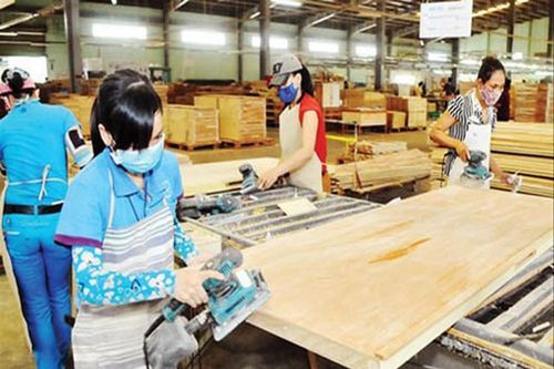 Rủi ro lớn với ngành gỗ Việt Nam