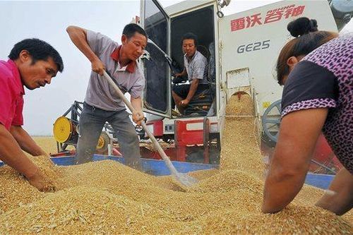 Trung Quốc dẫn dắt cuộc đua 'vét hàng' trước mùa đông