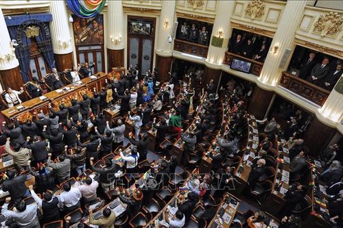 Bolivia sẵn sàng cho cuộc bầu cử bước ngoặt