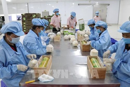 Chia sẻ thông tin thị trường EU tới doanh nghiệp