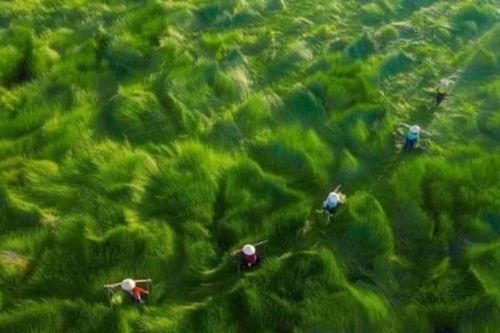 Giải thưởng nhiếp ảnh trên không 2020: Việt Nam có 4 giải nhiếp ảnh