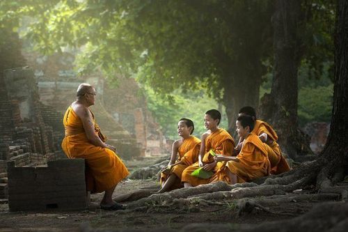 Thương thầy quá cũng khổ
