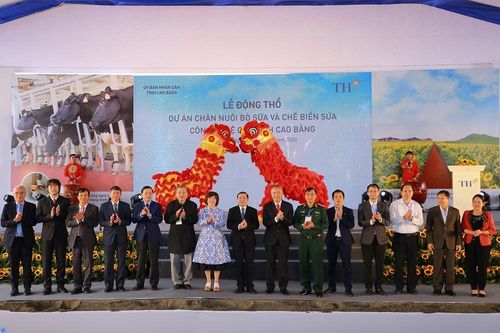 Động thổ dự án chăn nuôi bò sữa và chế biến sữa công nghệ cao tại vùng biên giới Cao Bằng