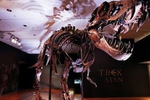 Bộ xương khủng long đắt giá