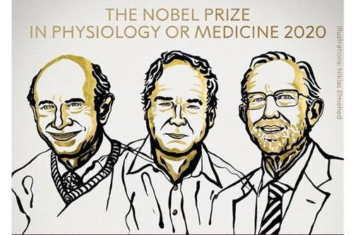 Khép lại mùa Nobel trong đại dịch
