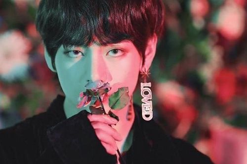 Phát hiện thông điệp ẩn trong album của BTS, trùng hợp hay thiên tài?