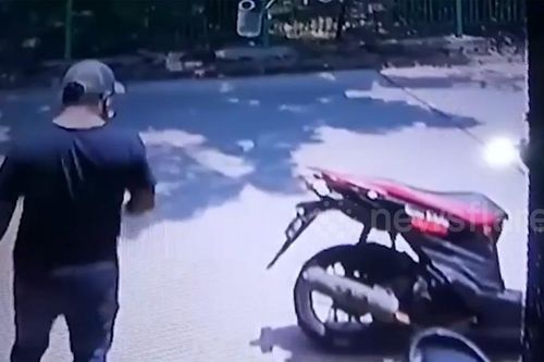 Người đàn ông trộm cá cảnh nhét vào túi quần gây sốc