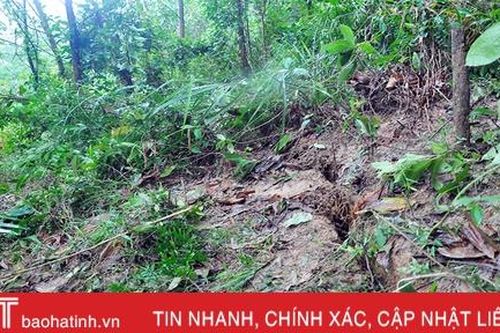 Xuất hiện vết nứt hàng chục mét trên núi, Hương Khê gấp rút sơ tán người dân