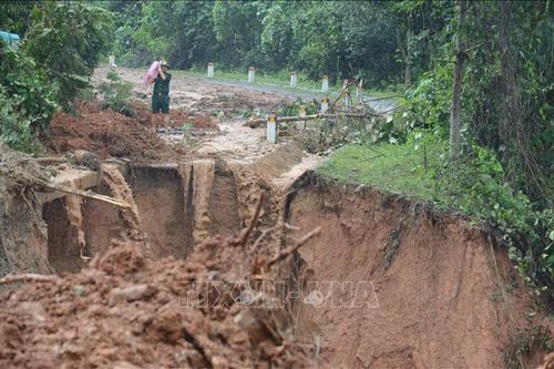 Đã có 37 người chết, 19 người mất tích do mưa lũ tại Quảng Trị