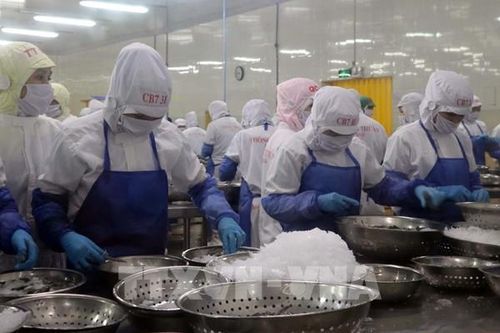 Thủy sản Minh Phú nắm bắt cơ hội các FTA
