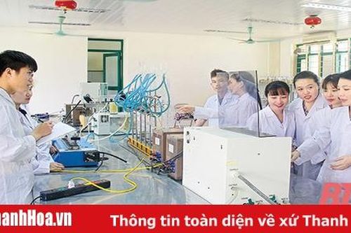 Dấu ấn 5 năm thực hiện Nghị quyết Đại hội Đảng bộ tỉnh lần thứ XVIII: Bài 10 - Đào tạo và sử dụng nguồn nhân lực đáp ứng yêu cầu phát triển