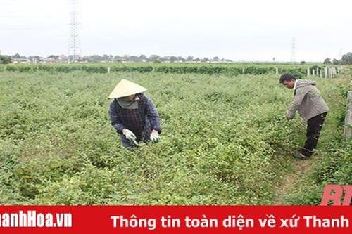 Khởi nghiệp - hiện thực hóa giấc mơ bằng những nỗ lực của bản thân
